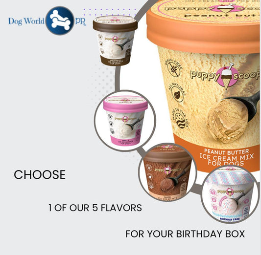 DW-Birthday Box