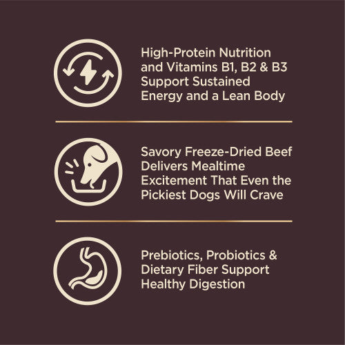 Wellness Core+ Beef Wholesome Grains