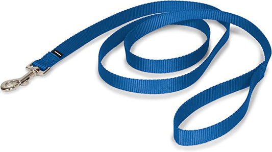 Royal Blue Leash