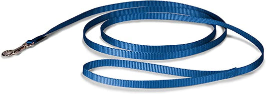 Royal Blue Leash